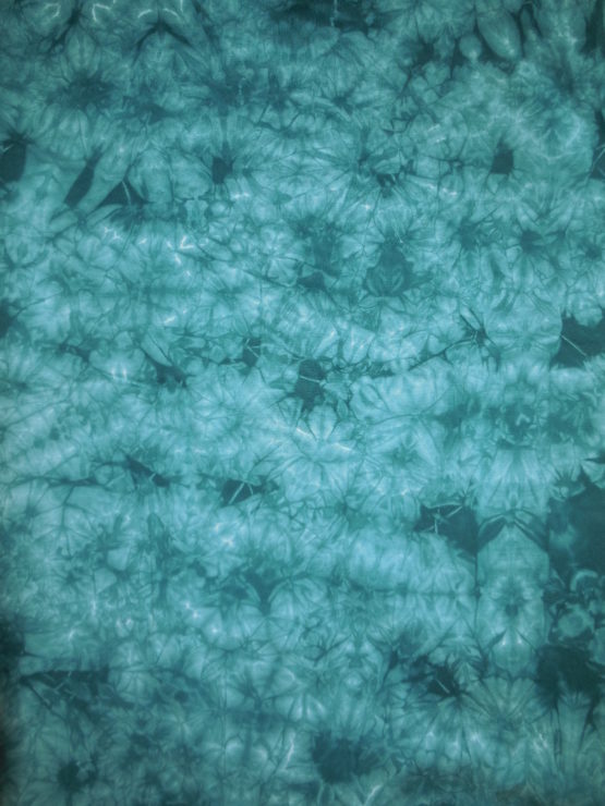 aigle 002 – Image 2