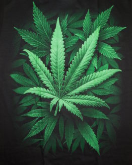 cannabis 0005rv