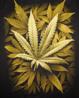 t-shirt cannabis