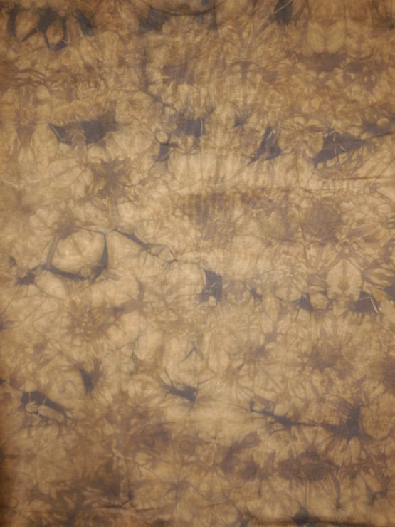 cheval 001 – Image 2