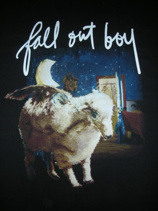 fall out boy 0001r