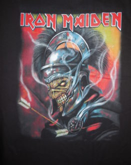 iron maiden 0113rv
