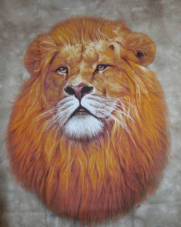 vente en ligne t-shirts rocks animaux skull