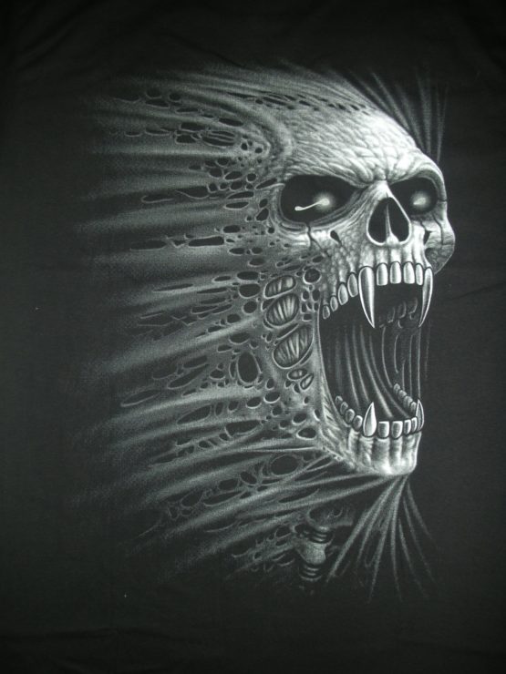 skulls 0114r – Image 2
