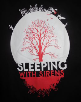 sleeping with sirens 0003r
