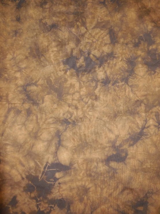 elephant 001 – Image 2