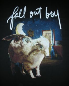 fall out boy 0001r