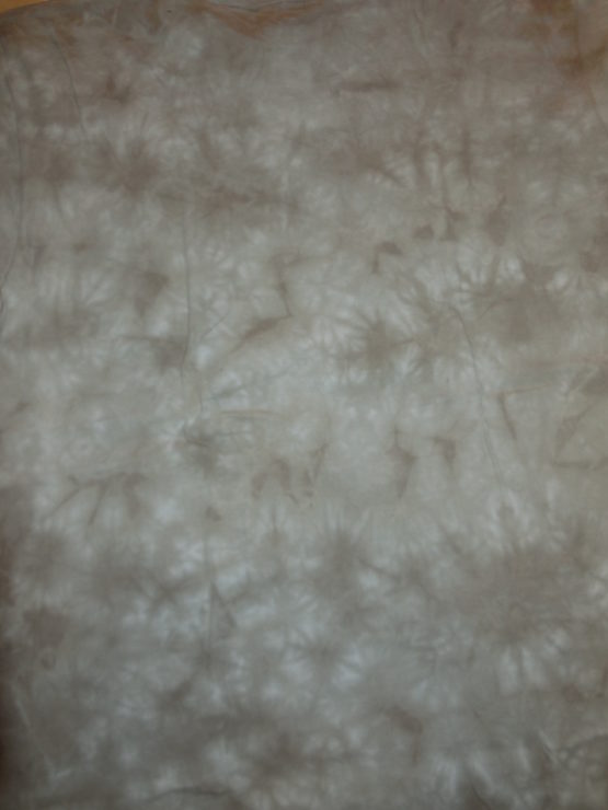 lion 002 – Image 2