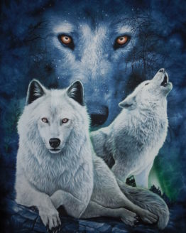 vente en ligne t-shirts animaux enfants adultes t--shirts rocks