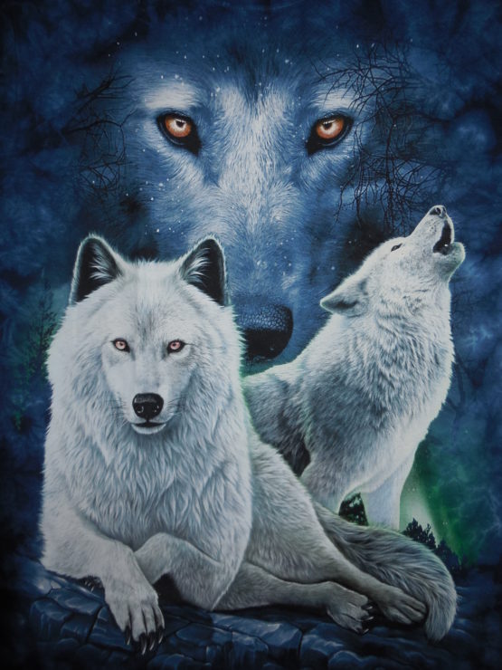 vente en ligne t-shirts animaux enfants adultes t--shirts rocks