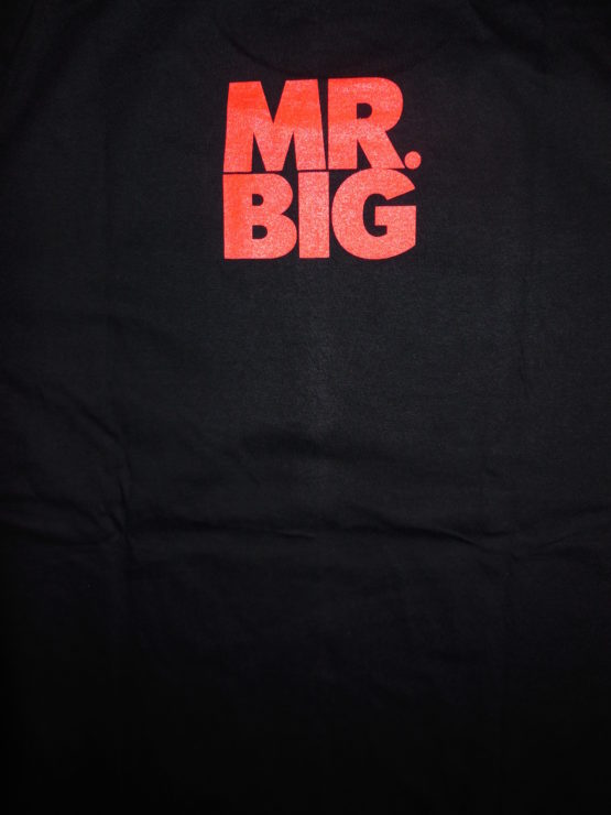 mr big 0001r – Image 2