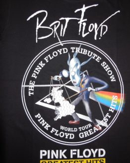 pink floyd 0021r