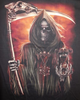 skulls 0185r