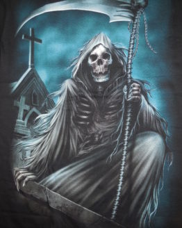 skulls 0203r