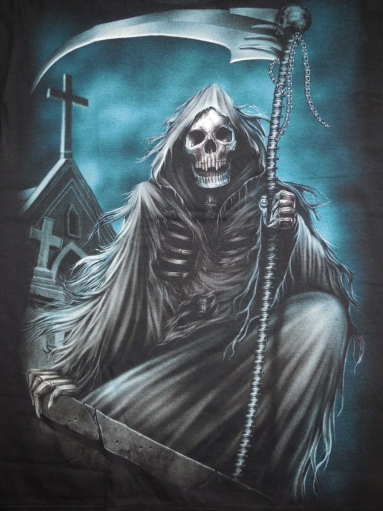skulls 0203r