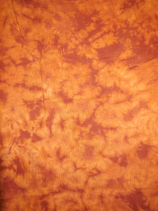 tigre 002 – Image 2