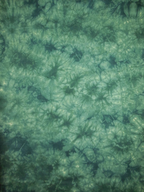 tigre 003 – Image 2