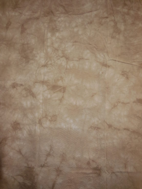 tigre 004 – Image 2